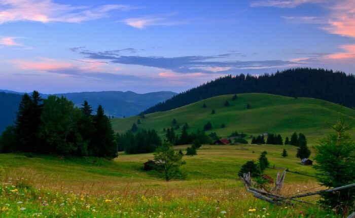 excursie 3 zile bucovina royaltrip