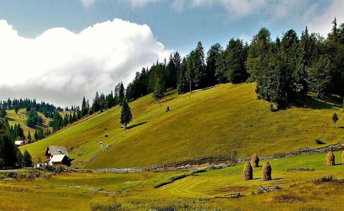 multii-apuseni-royaltrip-excursii